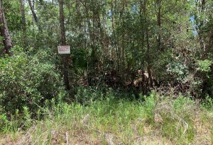 Sign tacked to tree in forest in front of wetland reads no trespassing hunting or fishing iolators prosecuted under penalty of law.